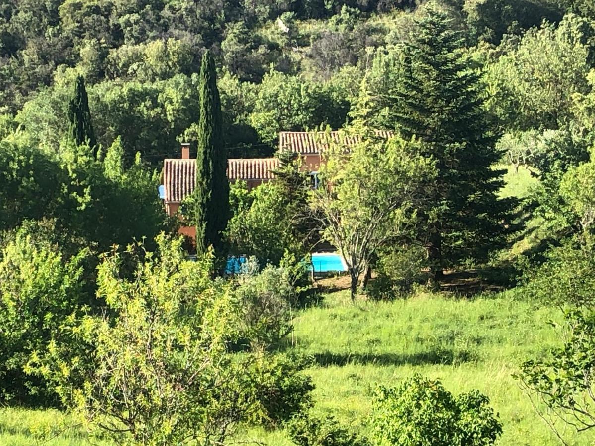 Le Mas Cevenol Villa Saint-Hilaire-de-Brethmas Екстериор снимка