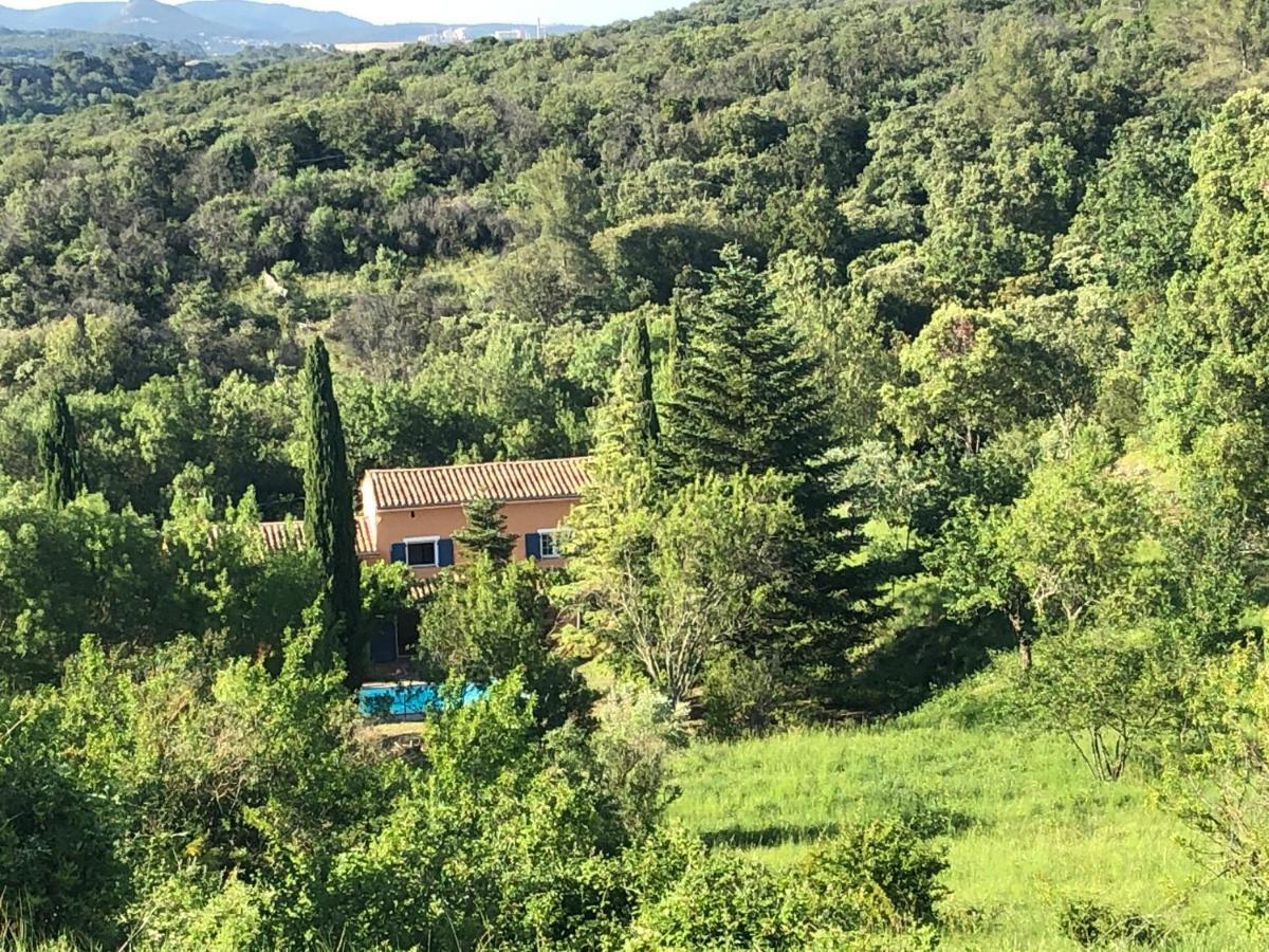 Le Mas Cevenol Villa Saint-Hilaire-de-Brethmas Екстериор снимка